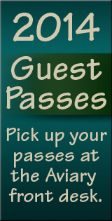 Guest Passes Tall image